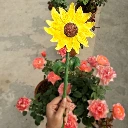 20250115_113708.webp
